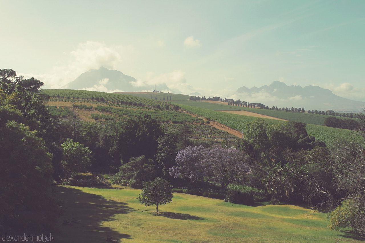 Foto von Blick vom Sugarbird Manor über die wunderschönen Felder des Devon Valley